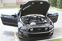 포드 무스 탕: 최신 스파이 샷-ford-mustang-mule-5-jpg