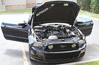 Ford Mustang: terbaru mata-mata tembakan-ford-mustang-mule-5-jpg