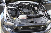 포드 무스 탕: 최신 스파이 샷-ford-mustang-mule-6-jpg